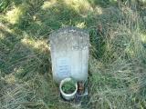 image of grave number 336547